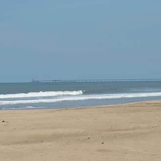 Konkan Beach